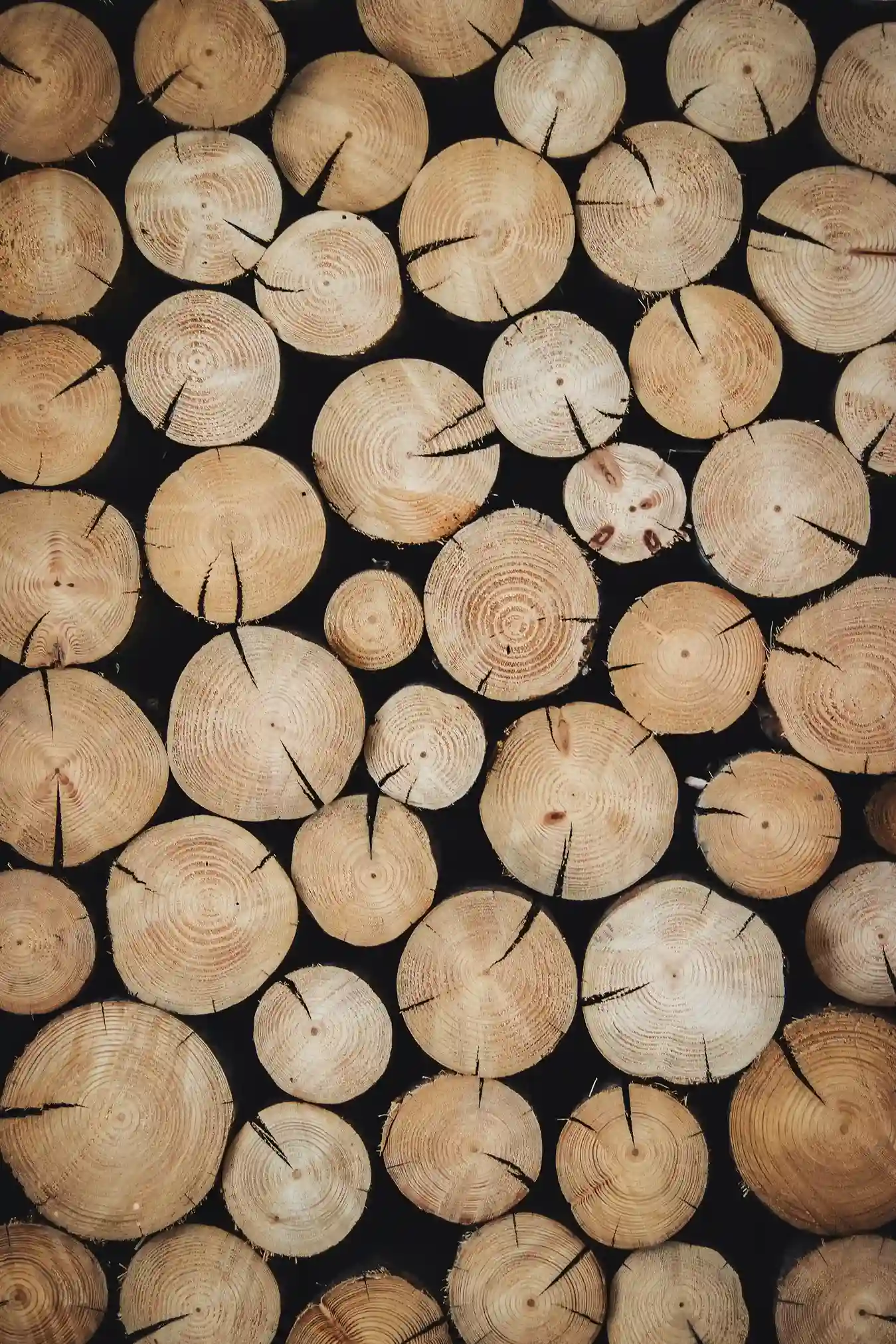 imagenen de madera