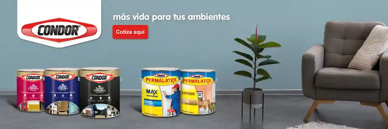 imagenes del carrusel